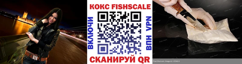 Купить где  Александровское  КОКАИН FishScale 
