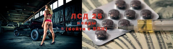 spice Ельня