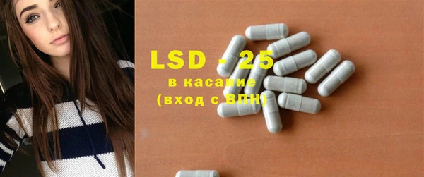 spice Ельня