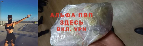 spice Ельня