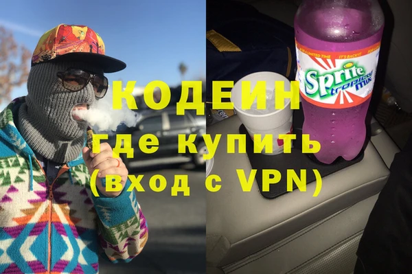 spice Ельня